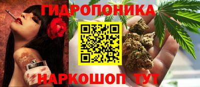 спиды Краснознаменск