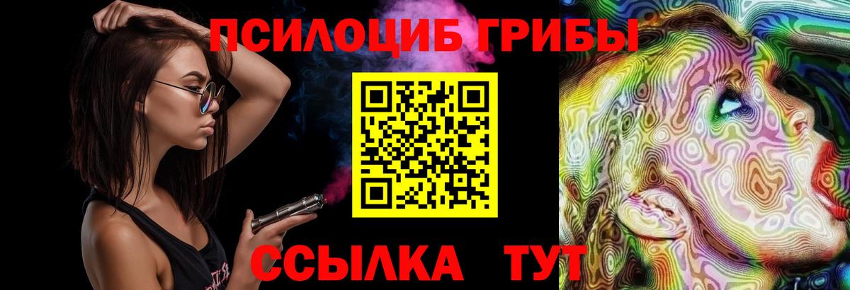 Псилоцибиновые грибы Psilocybe Клин