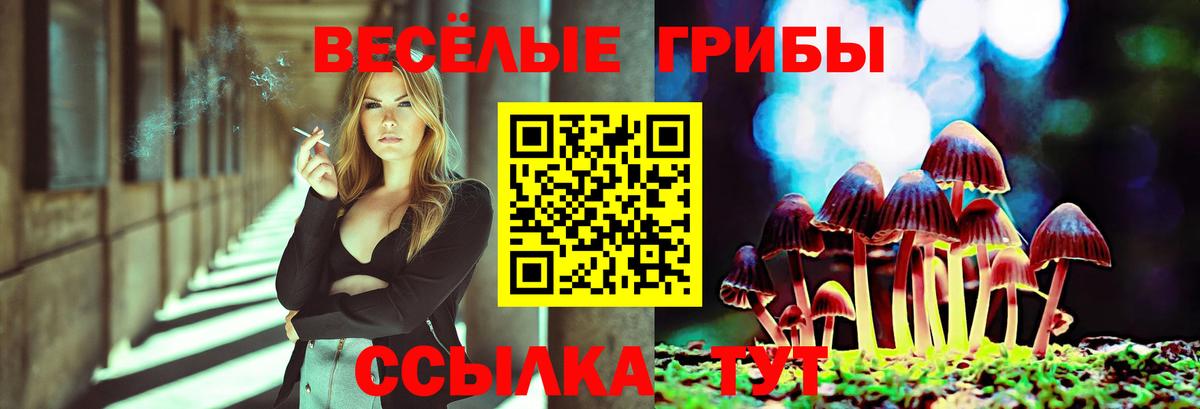 Клин  Галлюциногенные грибы MAGIC MUSHROOMS  Вход с VPN 